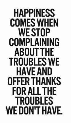 Happiness comes when you stop complaining about the troubles we have and offer thanks for all th ...