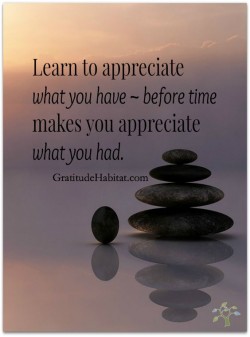 Learn to appreciate what you have – before time makes you appreciate what you had.