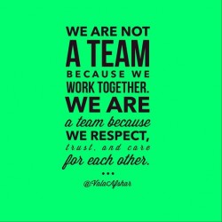 We are not a team because we work together. We are a team because we respect, trust, and care fo ...