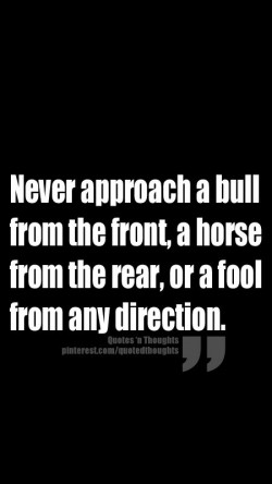 Never approach a bull from the front, a horse from the rear, or a fool from any direction.