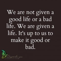 We are not given a good life or a bad life. We are given a life. It’s up to us to make it  ...