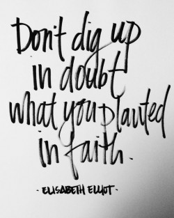 Don’t dig up in doubt what you planted in faith.