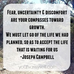 Fear, uncertainty & discomfort are your compasses toward growth. We must let go of the life  ...