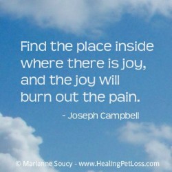 Find the place inside where there is joy, and the joy will burn out the pain.