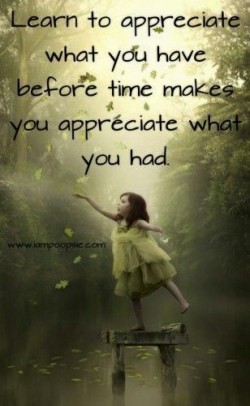 Learn to appreciate what you have before time makes you appreciate what you had.