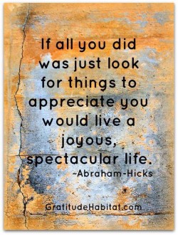 If all you did was just look for things to appreciate you would live a joyous spectacular life.