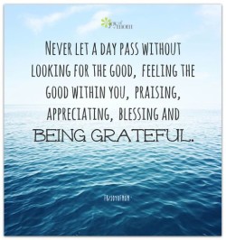 Never let a day pass without looking for the good, feeling the good within you, praising, apprec ...