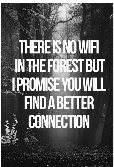There is no WiFi in the forest but I promise you will find a better connection