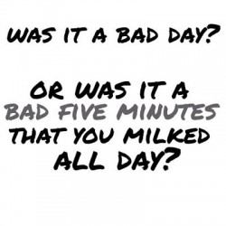 Was it a bad day? Or was it a bad 5 minutes that you milked all day?