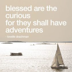 Blessed are the curious for they shall have adventures