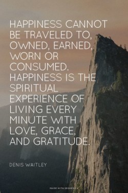 Happiness cannot be traveled to, owned, earned, worn or consumed. Happiness is the spiritual exp ...