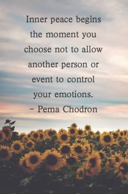 Inner peace begins the moment you choose not to allow another person or event to control your em ...