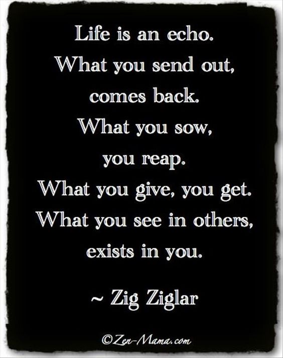 Life is an echo. What you send out, comes back. What you sow, you reap. What you give, you get.  ...