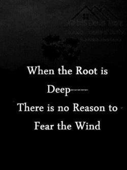 When the root is deep, there is no reason to fear the wind.