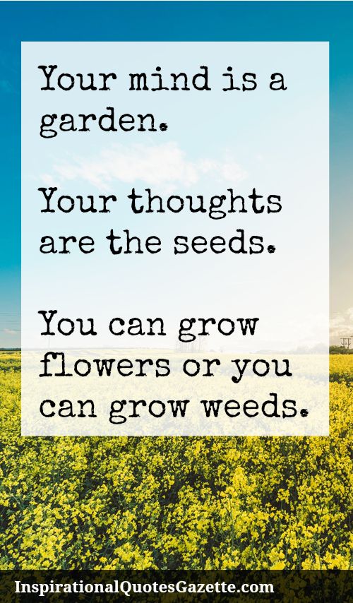 Your mind is a garden. Your thoughts are the seeds. You can grow flowers or you can grow weeds.