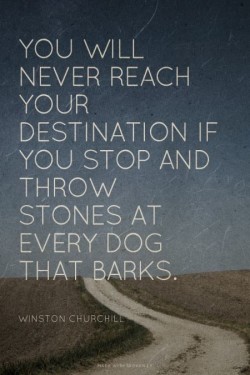 You will never reach your destination if you stop and throw stone at every dark that barks.