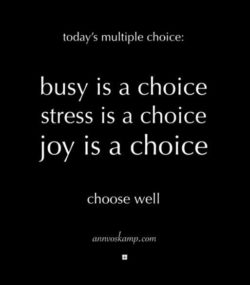 Busy is a choice
Stress is a choice
Joy is a choice