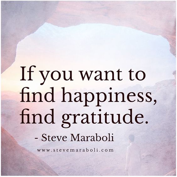 If you want to find happiness, find gratitude. | Inspired to Reality