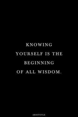 Knowing yourself is the beginning of all wisdome
