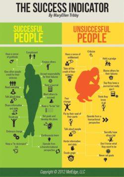 The Success Indicators