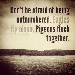 Don’t be afraid of being outnumbered. Eagles fly alone. Pigeons flock together.