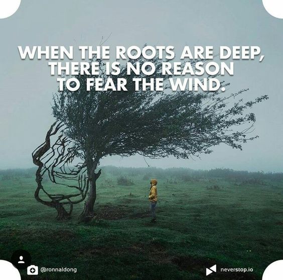 When the roots are deep, there is no reason to fear the wind.