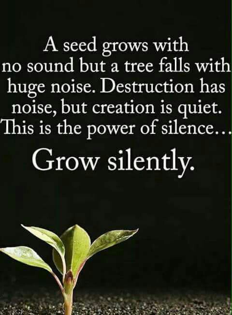 A seed grows with no sound but a tree falls with huge noise. Destruction has noise, but creation ...