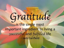 Gratitude is the single most important ingredient to living a successful and fulfilled life.