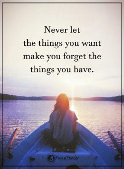 Never let the things you want make you forget the things you have.