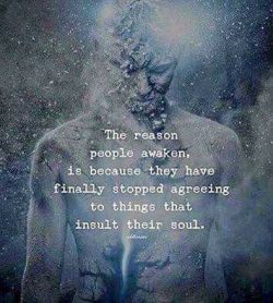 The reason people awaken is because they have finally stopped agreeing to the things that insult ...