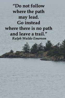 Do not follow where the path may lead. Go instead where there is no path and leave a trail.