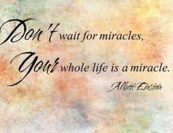 Don’t wait for miracles. Your whole life is a miracle.