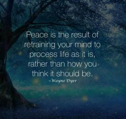 Peace is the result of retraining your mind to process life as it is, rather than how you think  ...