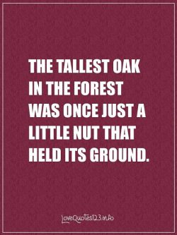 The tallest oak in the forest was once just a little nut that held its ground.