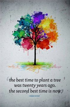 The best time to plant a tree was twenty years ago. The second best time is now.