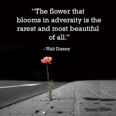 The flower that blooms in adversity is the rarest and most beautiful of all. – Walt Disney