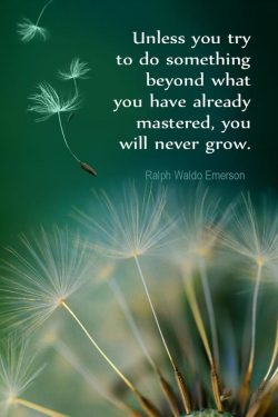 Unless you try to do something beyond what you already mastered, you will never grow – Ral ...